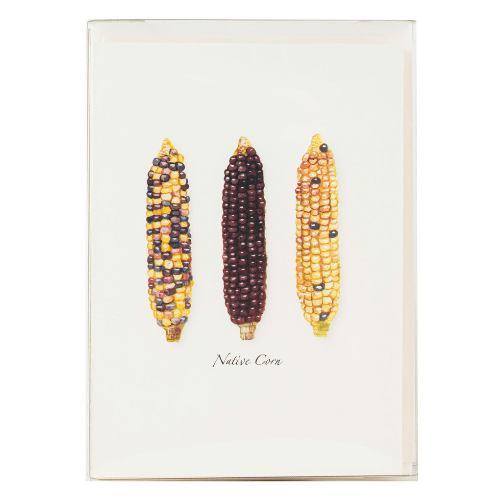 Native Corn Boxed Notes